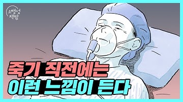 [JPN sub.] 사람이 죽기 직전에만 느낄 수 있다는 감각 │人間は死ぬ前、こう感じます