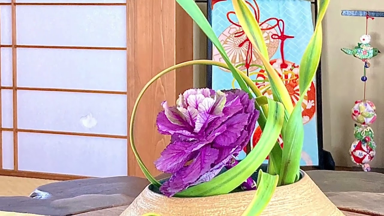 富山観光 富山のおすすめ宿 心安らぐ癒しの宿 館内の風景 廊下やロビーに飾られた季節の花やかわいい小物など 22 02 12 富山県 氷見の民宿青柳 Youtube