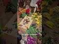 Доула и руководитель компаний по сопровождению родов в Латинской Америке ❤️