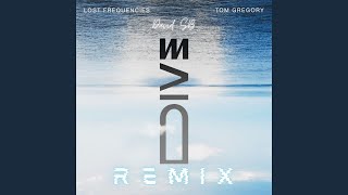 Lost Frequencies & Tom Gregory - Dive [David SB Remix]