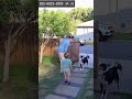 DOG saves BABY from walking out gate and potentially getting lost ?! #dogsareincredible #dogshorts