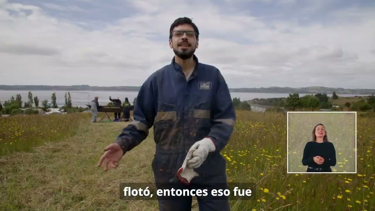 Mediación de la dalca, con lengua de señas