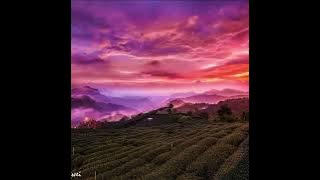 《光明》-- 譚艷  抖音女聲Remix版-one hour