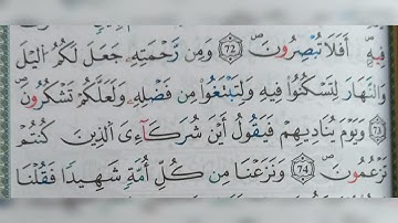سورة القصص الآية ٧٣-٧٤(73-74)