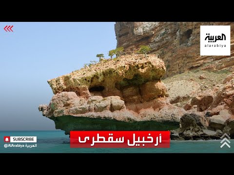 سقطرى الساحرة لم تتأثر بالحرب في اليمن
