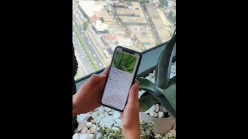 Plantapp - Plant Identification 51