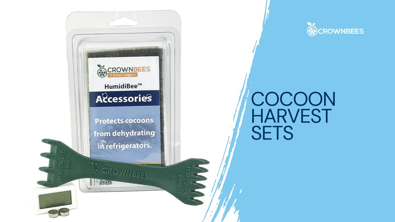 Cocoon Harvest Sets - Team Cocoon Comb or Team Reed Splitter? - YouTube
