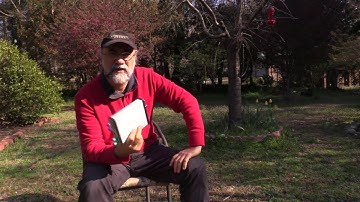 TPI-1001B RF Signal Generator - Wow