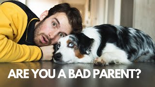 you are NOT a bad dog parent