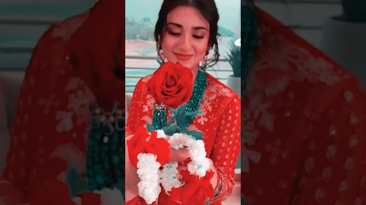 Happy 💐✨ Rose Day 🌹💫 New Status 2026 || 😍 🥀 Rose Day 💐🥰Whatsapp Video download ||  7 February 🌹💞