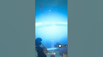 Epic Lynel Combo And Epic Flurry Rush!!! [BOTW]