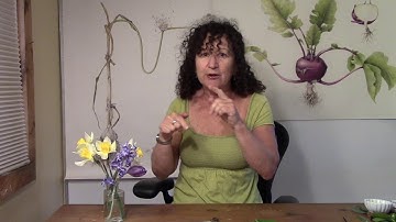 Botanical Basics - Rolling Forms: Introduction