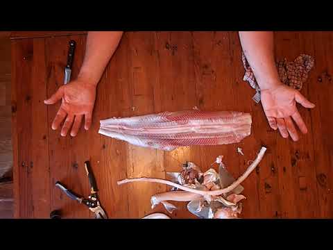 Video: ¿Cómo cocinar smoothhound?