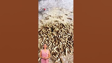 #fcnfm #canada FCN.FM: Your Ultimate Guide to Biomass Pellet Production