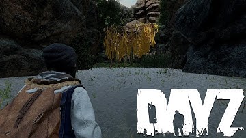 The TREE of LIFE! | Banov | DayZ