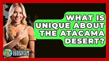 What Is Unique About The Atacama Desert? - Ecosystem Essentials