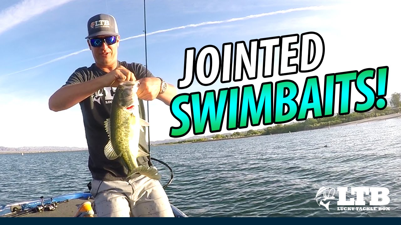 How To Fish Jointed Swimbaits: Lucky Tackle Box tips 