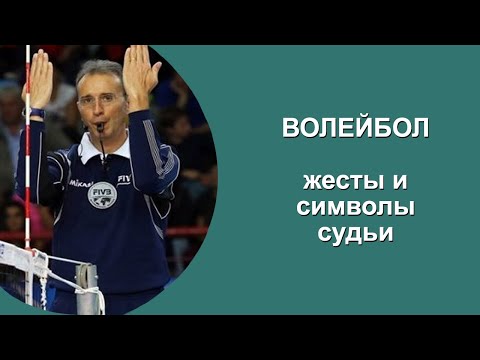 Видео: Какое расположение судей?