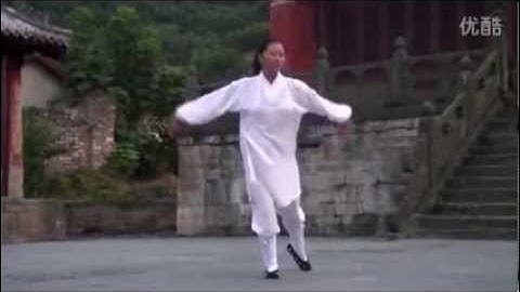 WUDANG DAOIST Five ( 5 ) Elements QIGONG by Li YuanFei .......Part 4 ( Fire ) .
