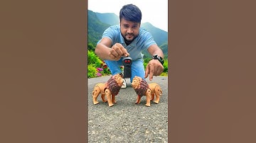 Do Sher Ek Sath | Two RC lion Testing 🦁🔥