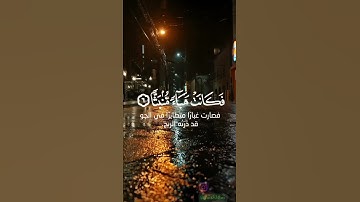 إسلام صبحي _سورة الواقعة #peace #quran #islam #اسلام_صبحي #ماهر_المعيقلي #قرآن