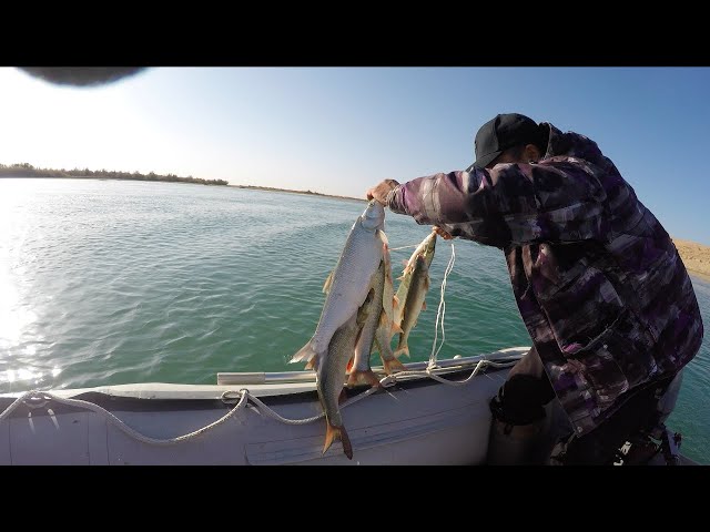 Дикая рыбалка, осень время трофеев с fisherman kz