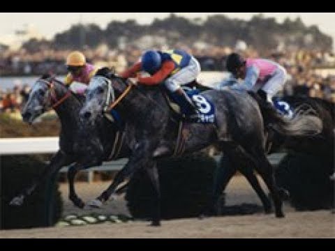 まさかの落馬 ダントツ１番人気がスタート直後落馬でため息とどよめきが 空馬で１着 福永祐一とファートゥア 中山競馬２歳未勝利戦 Youtube