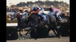 まさかの落馬 ダントツ１番人気がスタート直後落馬でため息とどよめきが 空馬で１着 福永祐一とファートゥア 中山競馬２歳未勝利戦 Youtube