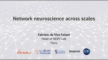 Network neuroscience across scales