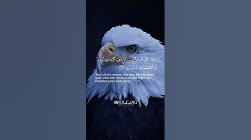 #تلاوة_خاشعة #سورة_لقمان  #قران_كريم
