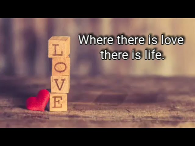 Where there is love, there is life.マハトマ・ガンジー