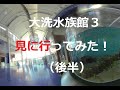 大洗水族館３　見に行ってみた！I went to see Oarai Aquarium 3! 　180度3DVR　oculus go！