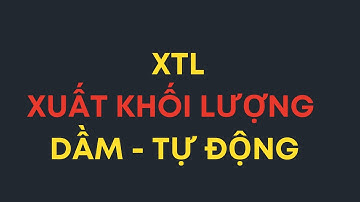 30. XTL - Xuất khối lượng dầm tự động có diễn giải chi tiết