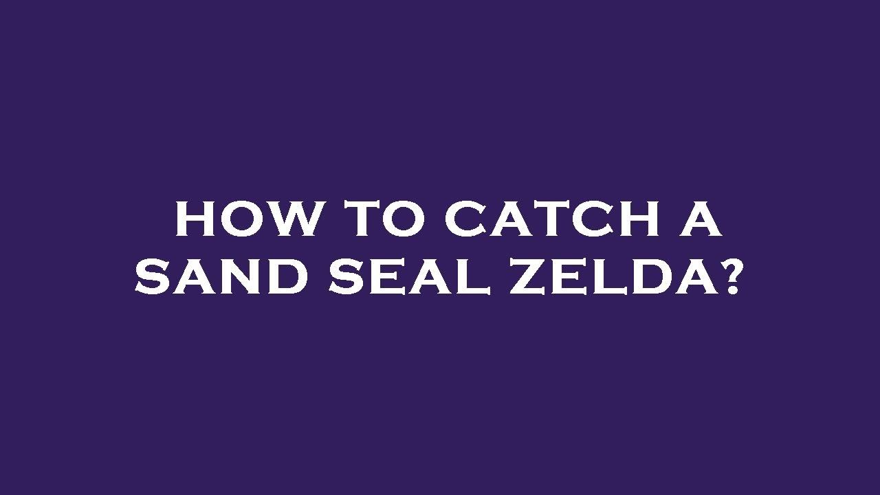 How to catch a sand seal zelda? YouTube