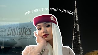 картинка: неделя из жизни в Дубае • покупки / разворотки / рутина