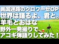 【異国迷路のクロワーゼ OP - 世界は踊るよ、君と。 / 羊毛とおはな】弾き語りカバー@江戸川 / 丸山詩乃