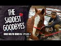 Horse Shelter Heroes S5E4 - The Saddest Goodbyes