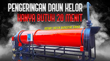 Cara Mudah Mengeringkan Daun Kelor dengan Mesin Pengering Otomatis!