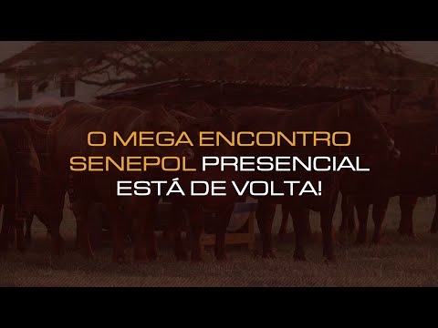 MEGA ENCONTRO SENEPOL ESTÁ DE VOLTA!