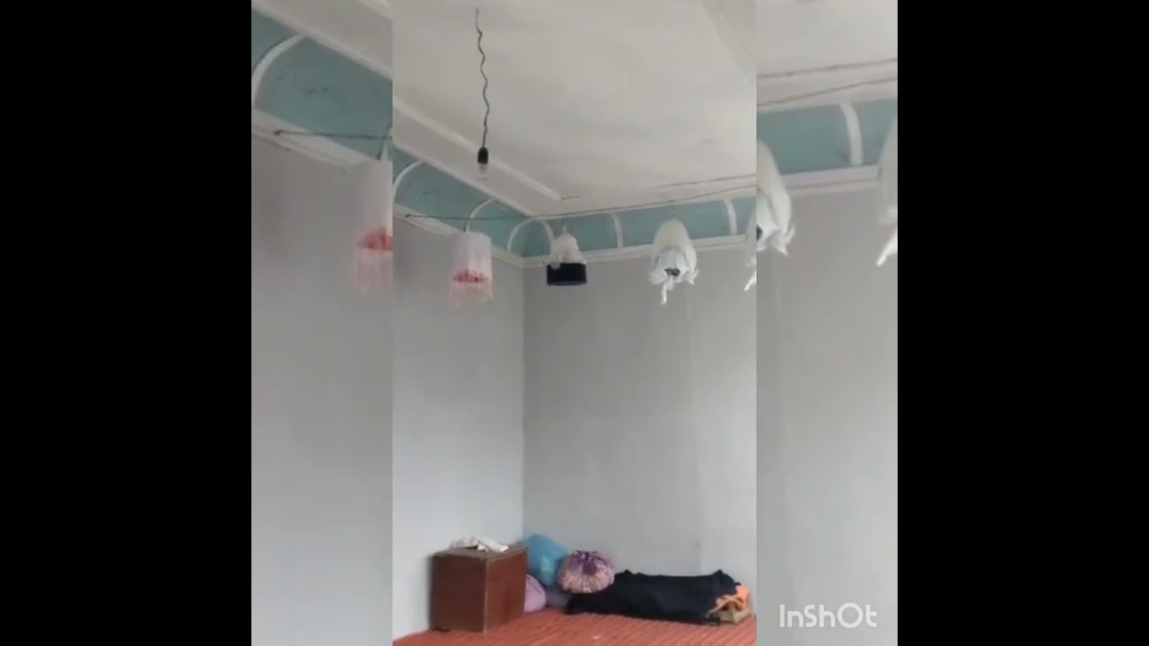 Men onamning ichiga onlayn kirdim Veronika Zemanova seks videolarini onlayn tomosha qilish