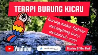 terapi semua burung kicau | smart mastering @storiesofomdwi536