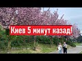 Попал в Ботанический сад! Как мы сейчас живем в Киеве?