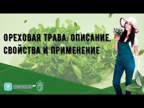 Видео: Является ли ореховая трава родом из Австралии?