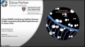 Mapping Long Noncoding RNA Dependencies in Tumor Cells; by Eugenio Morelli M.D.