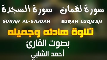 تلاوة هادئه وجميله سورة لقمان سورة السجدة بصوت القارئ أحمد الشلبي
