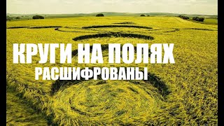 КРУГИ НА ПОЛЯХ РАСШИФРОВАНЫ. ЧТО ОЗНАЧАЮТ РИСУНКИ НА ПОЛЯХ.