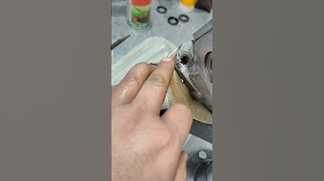 Ржавчина внутри тнвд, смотрим износ деталей. Насос с JCB4CX delphi 9320A623G. ТНВД Мастер