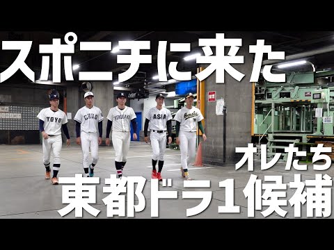 ドラ１候補が本音トーク「スカウトを気にしてた」「NO.１は細野」「大谷選手は抑えられない」