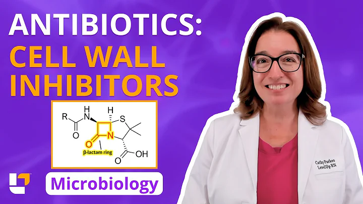 Antibiotics: Cell Wall Inhibitors: Microbiology Pre-Nursing / Pre-Med Students | @LevelUpRN
