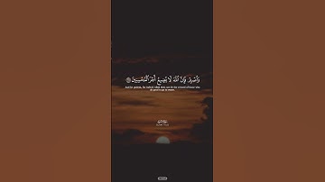 ذِكر الله دواء القلوب 🤍 #اسلام_صبحي #قرآن #قران_كريم #سورة_يس#islam_sobhi #islamic #quran #explore